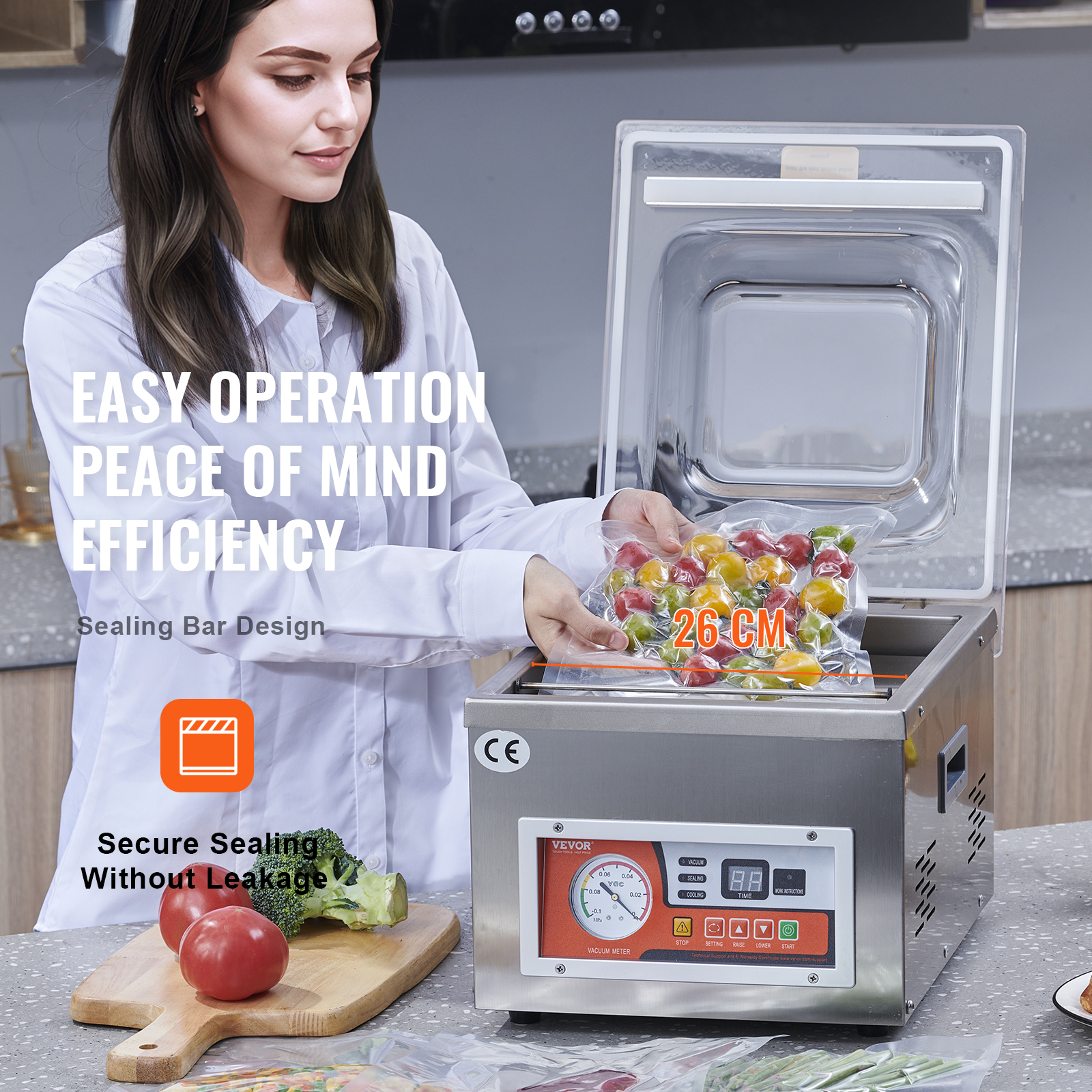 SucceBuy DZ-260A Chamber Vacuu - Food Storage Vacuum Seal 评论和价格