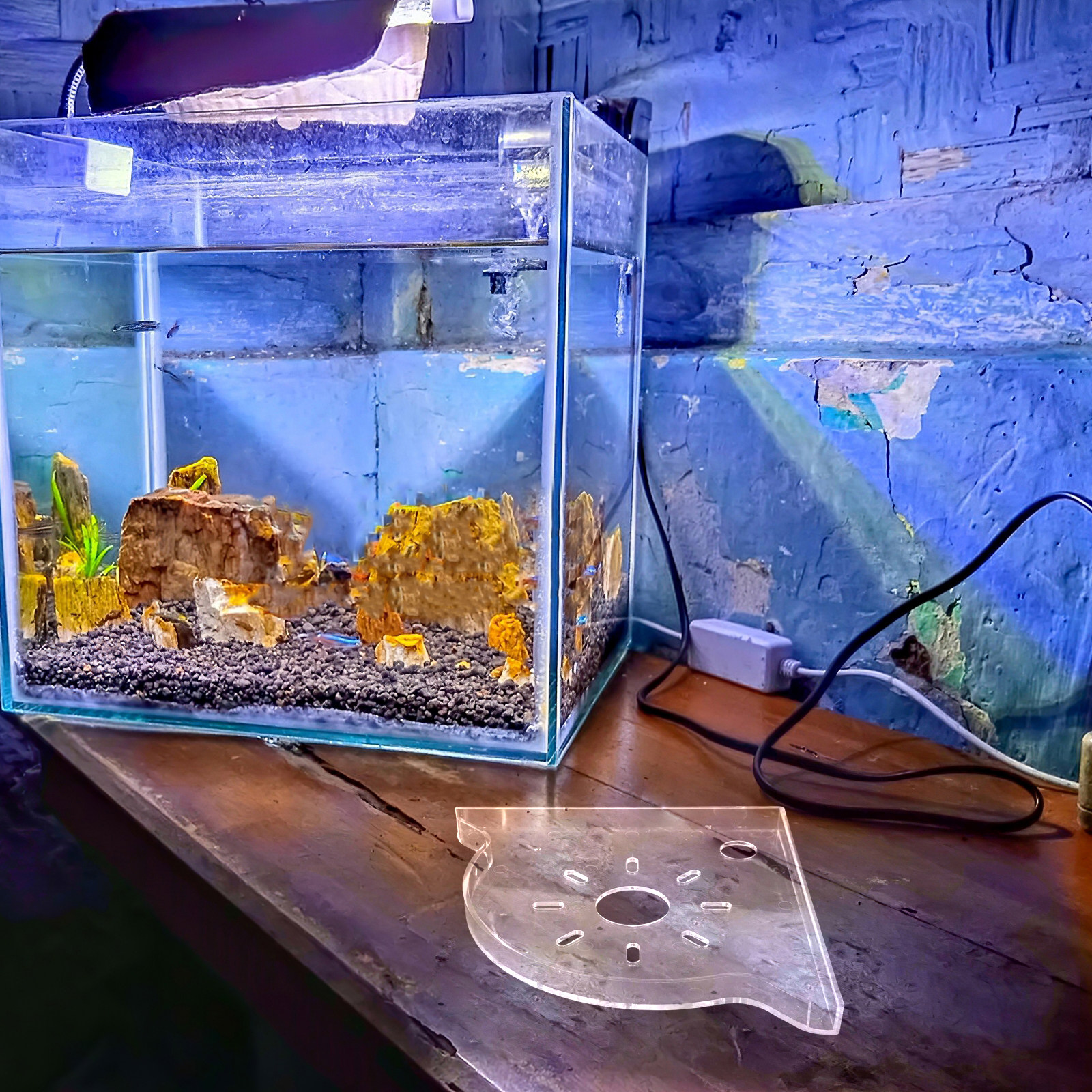 Fish Tank Corner Stand Triangl - Food Storage In Plants 评论和价格