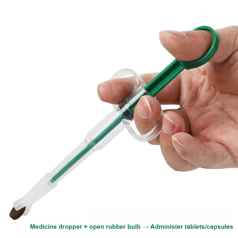 Pet Pill Gun，Pet Medicine Feed - Food Storage How To 评论和价格