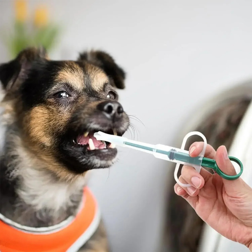 Dog Cat AccessoriesPet Syringe - Food Storage Youtube 评论和价格
