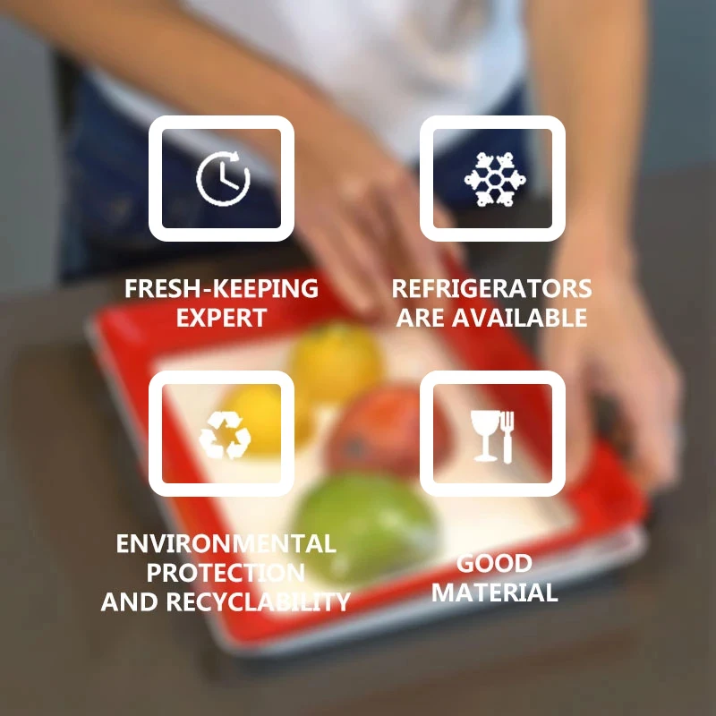 Food Preservation Tray PP Reus - Food Storage Food Safety 评论和价格