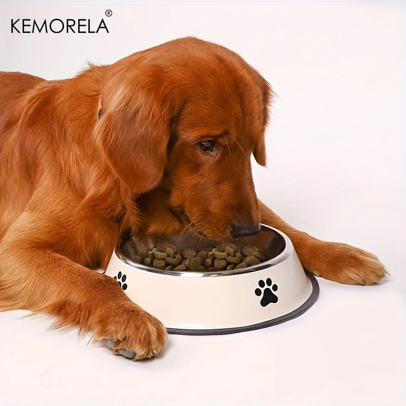 Stainless Steel Pet Dog Bowl F - Xxl Food Storage Container 评论和价格