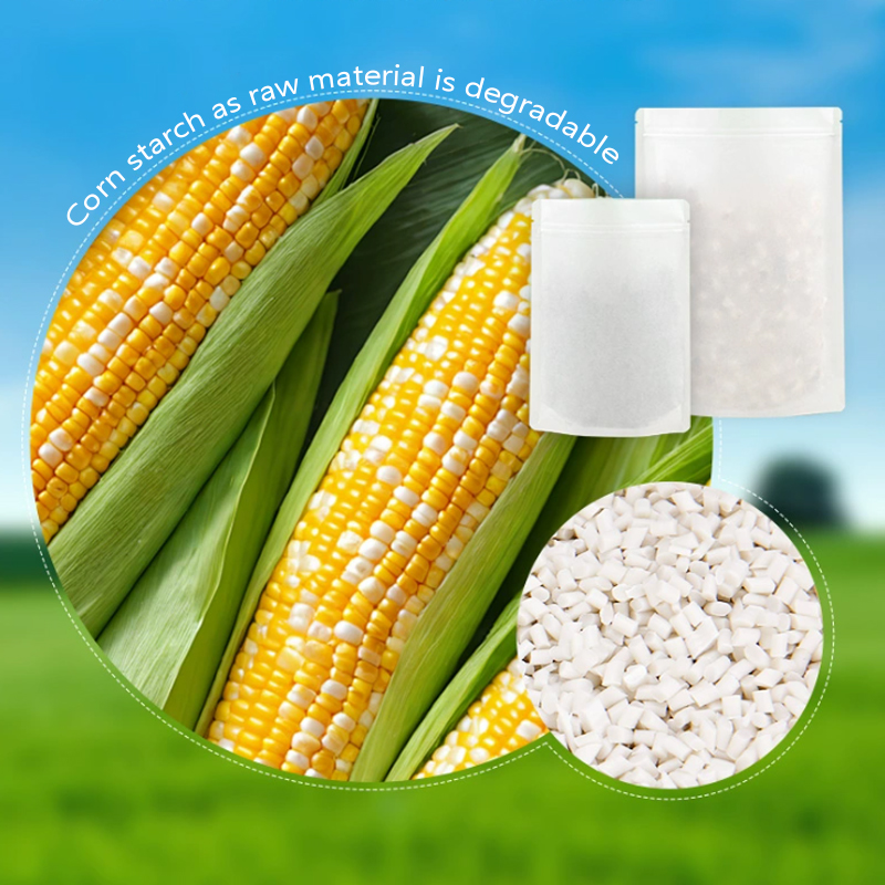 Customized Degradable Kraft Pa - Food Storage In Plants 评论和价格
