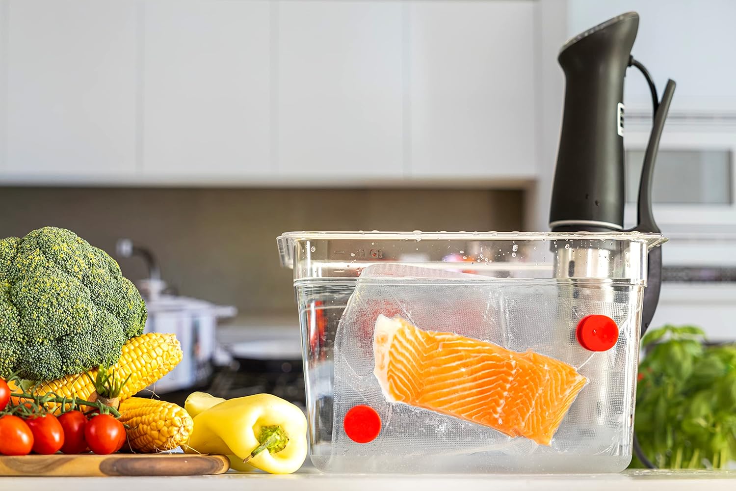 Sous Vide Magnets Set of 8 - F - Food Storage Silicone 评论和价格