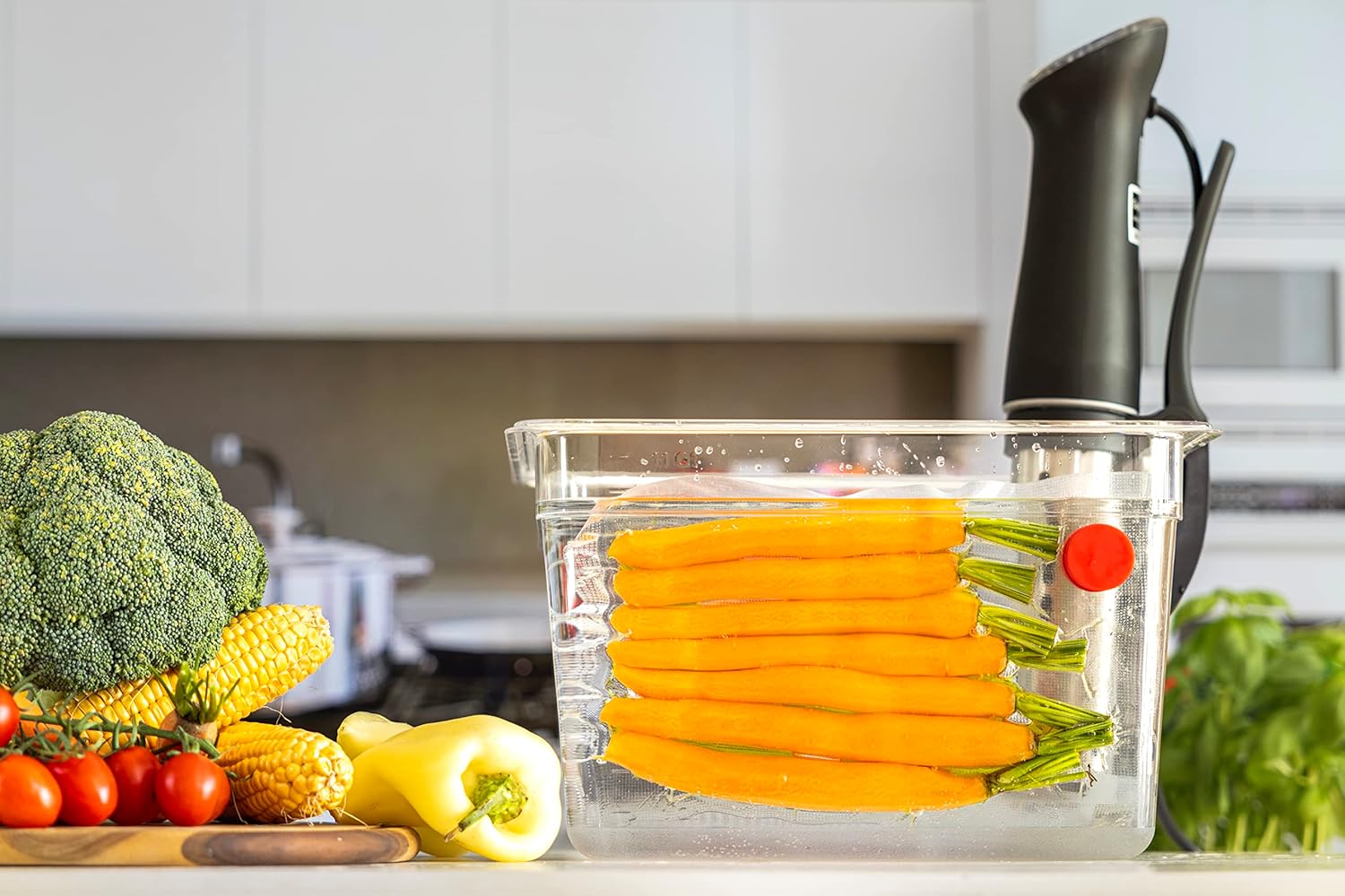 Sous Vide Magnets Set of 8 - F - Food Storage Silicone 评论和价格