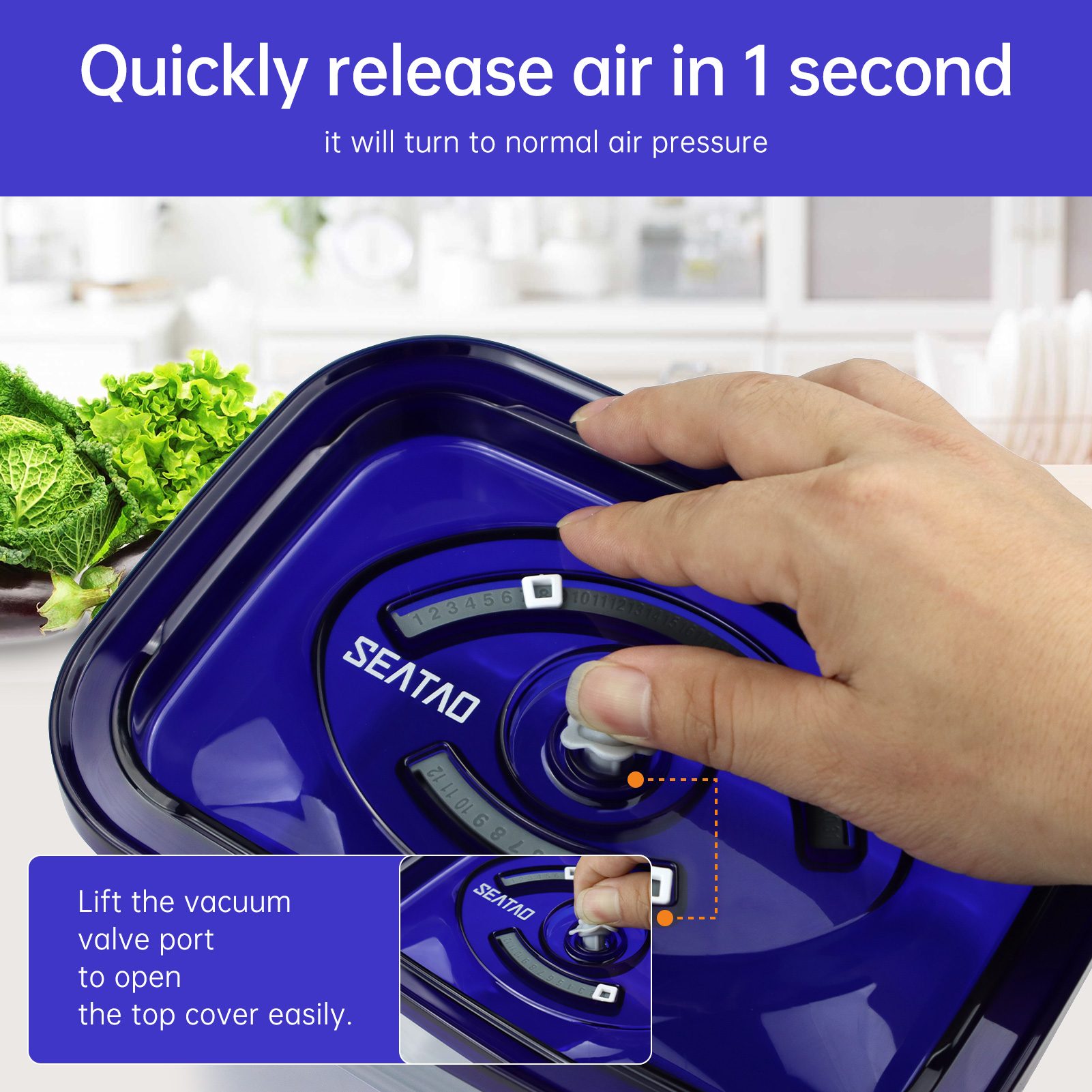SEATAO Glass Food Storage Cont - Food Storage Vacuum Seal 评论和价格