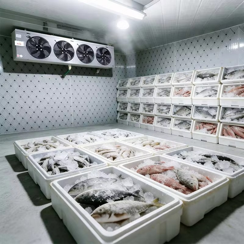 Customized Food Grade Cold Sto - Food Storage Food Safety 评论和价格
